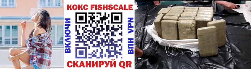 купить закладку  Избербаш  Cocaine Fish Scale 
