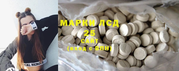 крисы Абаза
