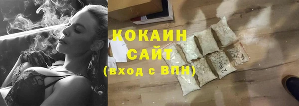 крисы Абаза