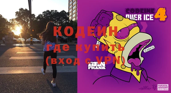 крисы Абаза