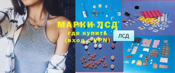 крисы Абаза