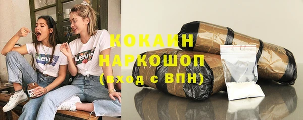 крисы Абаза
