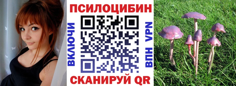 Псилоцибиновые грибы Psilocybine cubensis  Избербаш 